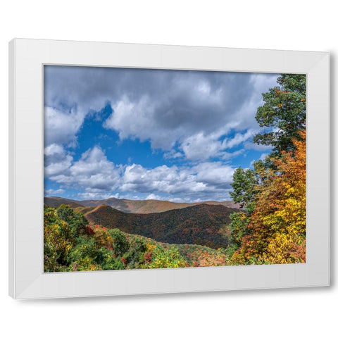 NC Fall Mountains 7 White Modern Wood Framed Art Print by Lee, Rachel
