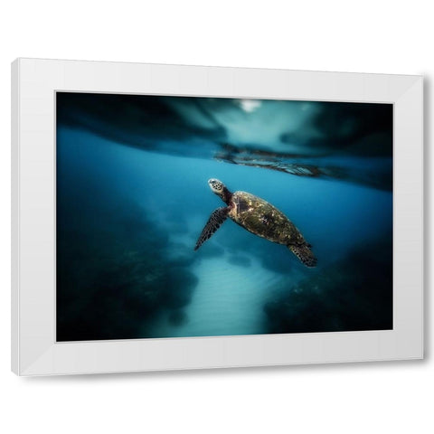 Ocean 42 White Modern Wood Framed Art Print by Lee, Rachel