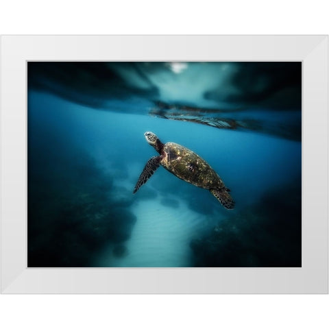 Ocean 42 White Modern Wood Framed Art Print by Lee, Rachel