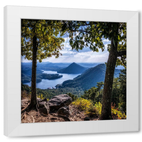 Ocoee View White Modern Wood Framed Art Print by Lee, Rachel