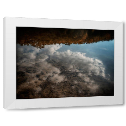 On Golden Pond White Modern Wood Framed Art Print by Lee, Rachel