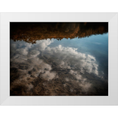 On Golden Pond White Modern Wood Framed Art Print by Lee, Rachel