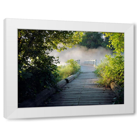 Pathway 3 White Modern Wood Framed Art Print by Lee, Rachel