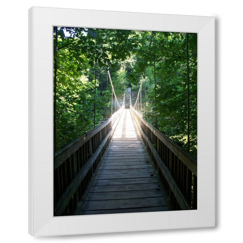 Pathway 6 White Modern Wood Framed Art Print by Lee, Rachel