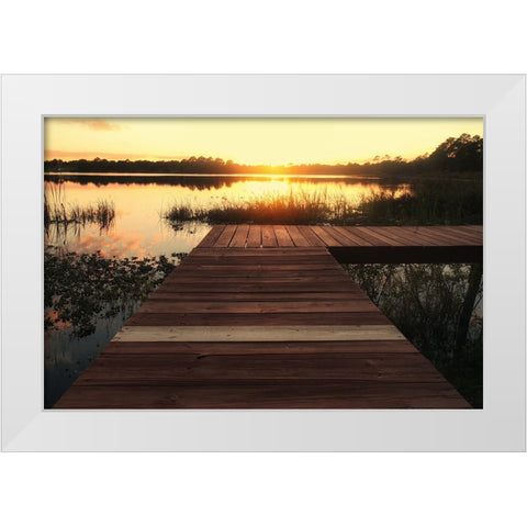 Pier 3 White Modern Wood Framed Art Print by Lee, Rachel