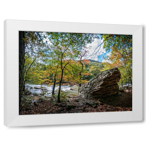 Pocket Wilderness 2 White Modern Wood Framed Art Print by Lee, Rachel