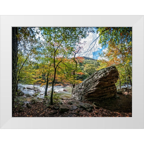 Pocket Wilderness 2 White Modern Wood Framed Art Print by Lee, Rachel