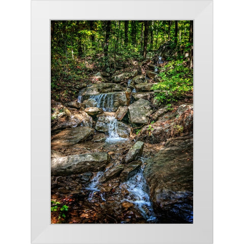 Pocket Wilderness 3 White Modern Wood Framed Art Print by Lee, Rachel