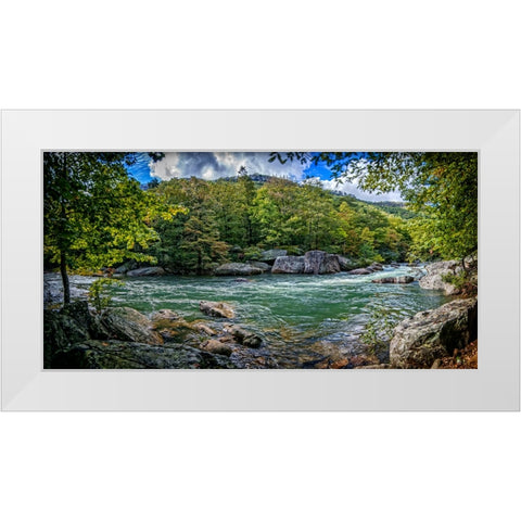 Pocket Wilderness 4 White Modern Wood Framed Art Print by Lee, Rachel