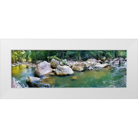 Pocket Wilderness Dayton 1 White Modern Wood Framed Art Print by Lee, Rachel