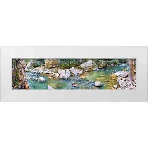 Pocket Wilderness Dayton 2 White Modern Wood Framed Art Print by Lee, Rachel