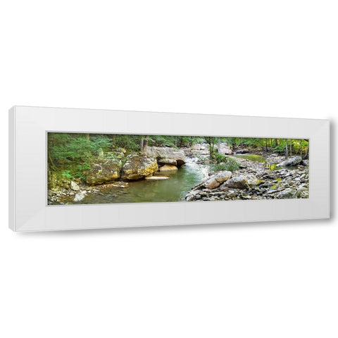 Pocket Wilderness Dayton 3 White Modern Wood Framed Art Print by Lee, Rachel
