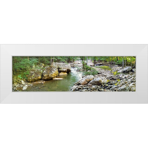 Pocket Wilderness Dayton 3 White Modern Wood Framed Art Print by Lee, Rachel