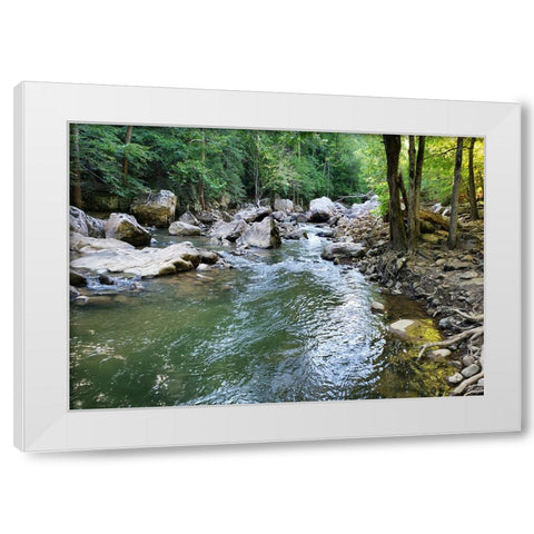 Pocket Wilderness Dayton 4 White Modern Wood Framed Art Print by Lee, Rachel