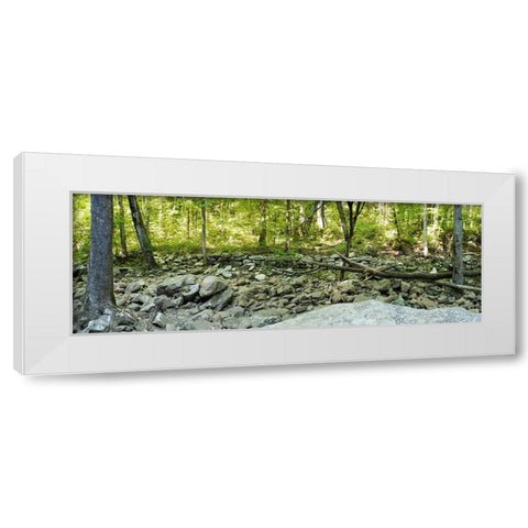 Pocket Wilderness Dayton 6 White Modern Wood Framed Art Print by Lee, Rachel