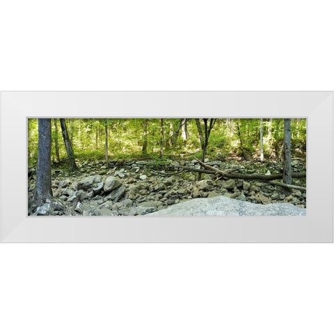 Pocket Wilderness Dayton 6 White Modern Wood Framed Art Print by Lee, Rachel