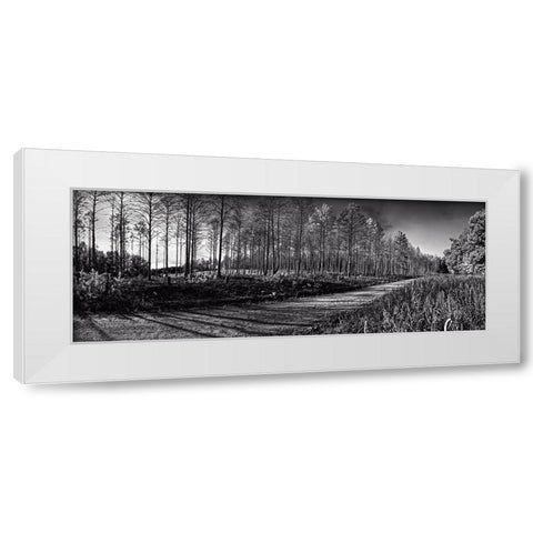 Prentice Road Pano BW White Modern Wood Framed Art Print by Lee, Rachel