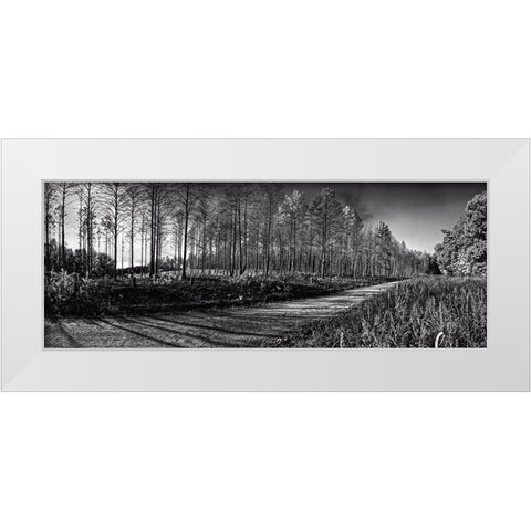Prentice Road Pano BW White Modern Wood Framed Art Print by Lee, Rachel
