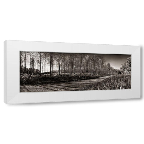 Prentice Road Pano Sepia White Modern Wood Framed Art Print by Lee, Rachel