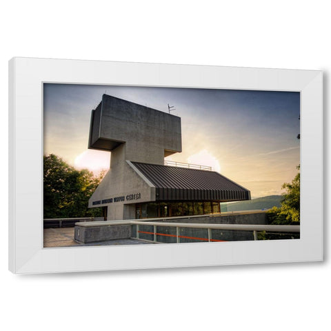 Raccoon Observatory White Modern Wood Framed Art Print by Lee, Rachel