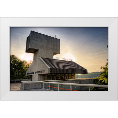 Raccoon Observatory White Modern Wood Framed Art Print by Lee, Rachel
