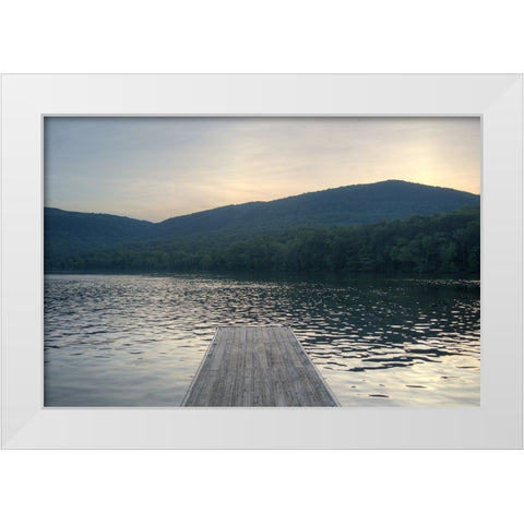 Raccoon Pier White Modern Wood Framed Art Print by Lee, Rachel