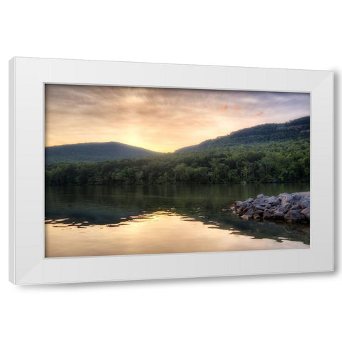 Raccoon Sunset White Modern Wood Framed Art Print by Lee, Rachel