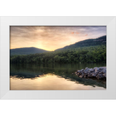 Raccoon Sunset White Modern Wood Framed Art Print by Lee, Rachel