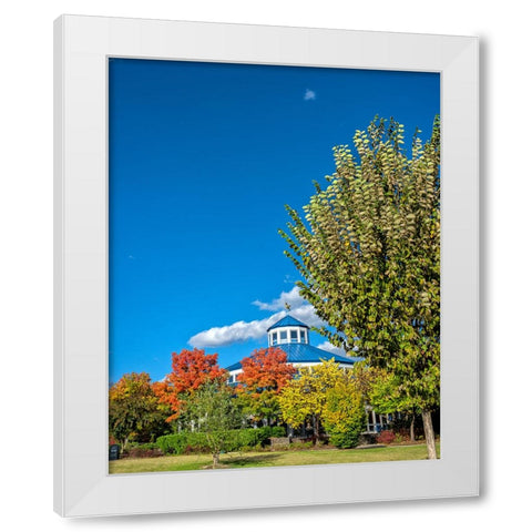 Scenic City 18 White Modern Wood Framed Art Print by Lee, Rachel