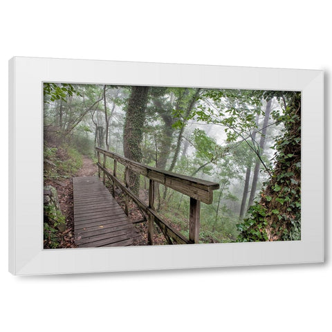 Scenic City 35 White Modern Wood Framed Art Print by Lee, Rachel