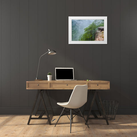 Scenic City 36 White Modern Wood Framed Art Print by Lee, Rachel