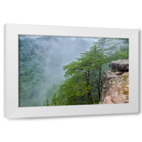 Scenic City 36 White Modern Wood Framed Art Print by Lee, Rachel