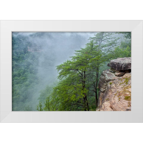 Scenic City 36 White Modern Wood Framed Art Print by Lee, Rachel