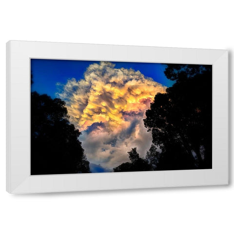Signal Cloud White Modern Wood Framed Art Print by Lee, Rachel