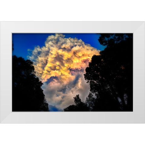 Signal Cloud White Modern Wood Framed Art Print by Lee, Rachel