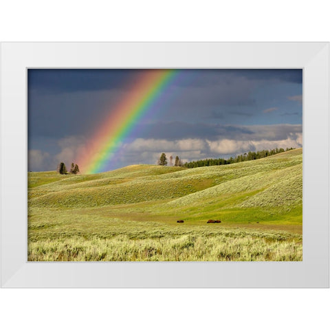 Sky 4 White Modern Wood Framed Art Print by Lee, Rachel