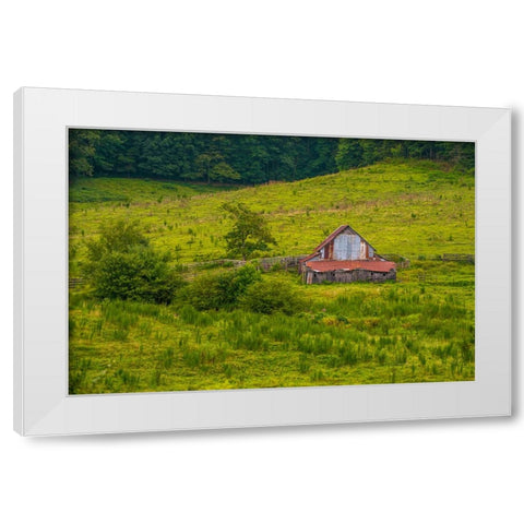 Smokies Barn White Modern Wood Framed Art Print by Lee, Rachel