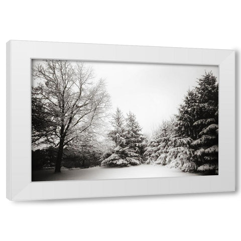 Snow Trees White Modern Wood Framed Art Print by Lee, Rachel
