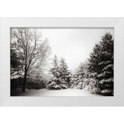 Snow Trees White Modern Wood Framed Art Print by Lee, Rachel