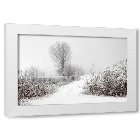 Snowy Farm White Modern Wood Framed Art Print by Lee, Rachel