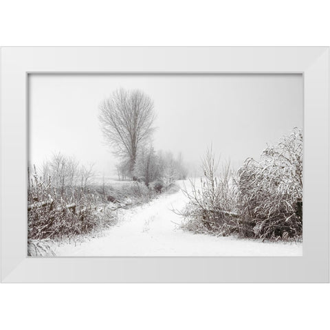 Snowy Farm White Modern Wood Framed Art Print by Lee, Rachel