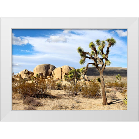 Southwest 1 White Modern Wood Framed Art Print by Lee, Rachel