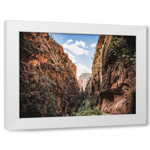 Southwest 9 White Modern Wood Framed Art Print by Lee, Rachel