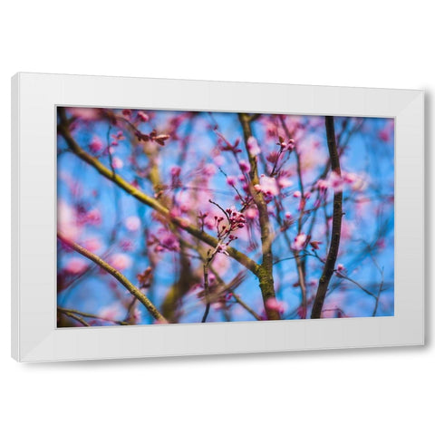 Spring Bloom White Modern Wood Framed Art Print by Lee, Rachel