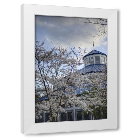 Spring Carousel White Modern Wood Framed Art Print by Lee, Rachel