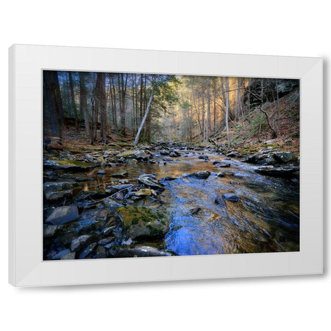 Stinging Fork Creek 2 White Modern Wood Framed Art Print by Lee, Rachel