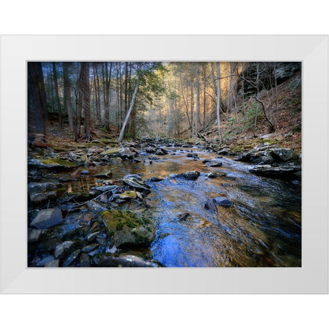 Stinging Fork Creek 2 White Modern Wood Framed Art Print by Lee, Rachel