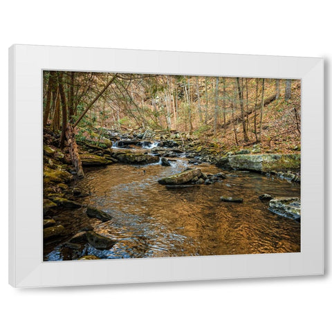 Stinging Fork Creek 3 White Modern Wood Framed Art Print by Lee, Rachel