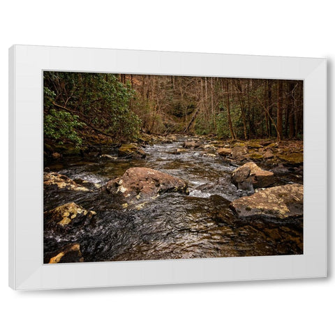 Stinging Fork Creek 4 White Modern Wood Framed Art Print by Lee, Rachel