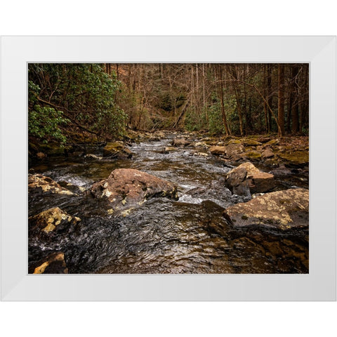 Stinging Fork Creek 4 White Modern Wood Framed Art Print by Lee, Rachel